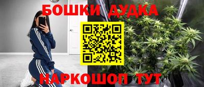 мдпв Майкоп